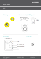 csm_SL31_datasheet_en_36b48c325d csm_SL31_datasheet_en_36b48c325d